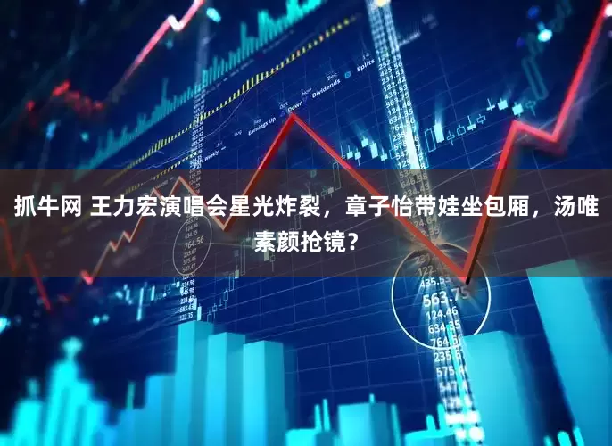 抓牛网 王力宏演唱会星光炸裂，章子怡带娃坐包厢，汤唯素颜抢镜？