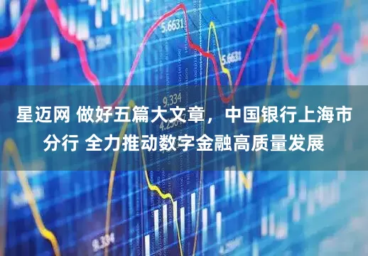 星迈网 做好五篇大文章，中国银行上海市分行 全力推动数字金融高质量发展