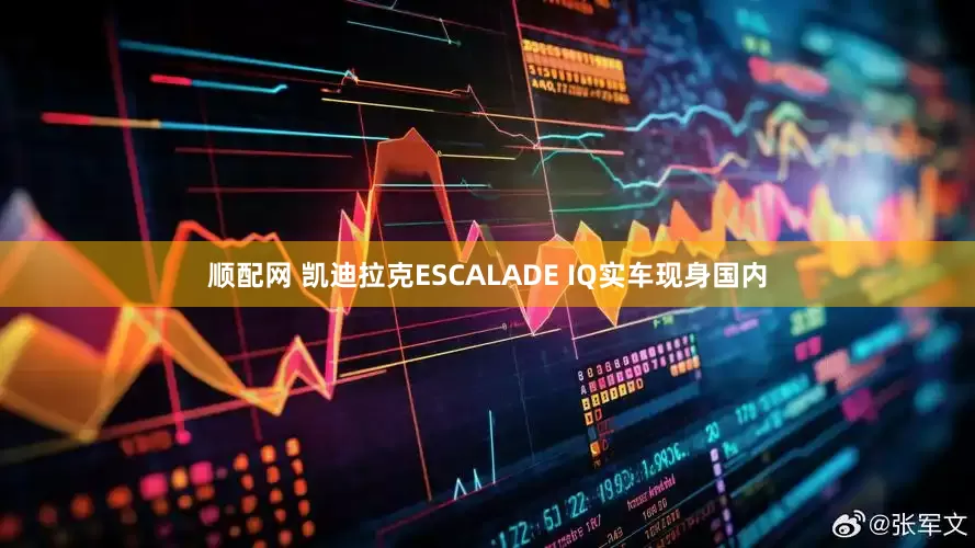 顺配网 凯迪拉克ESCALADE IQ实车现身国内