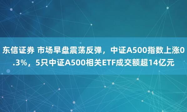 东信证券 市场早盘震荡反弹，中证A500指数上涨0.3%，5只中证A500相关ETF成交额超14亿元