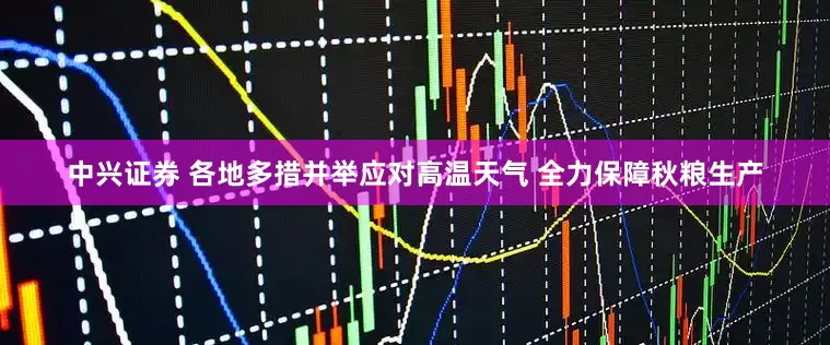 中兴证券 各地多措并举应对高温天气 全力保障秋粮生产