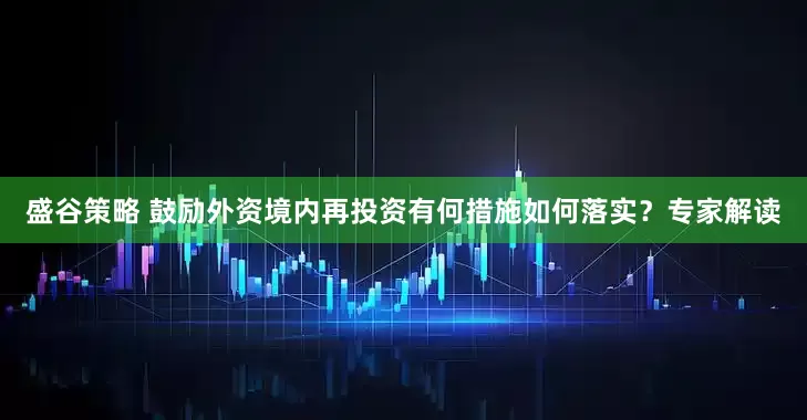 盛谷策略 鼓励外资境内再投资有何措施如何落实？专家解读