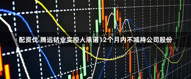 配资伐 腾远钴业实控人承诺12个月内不减持公司股份
